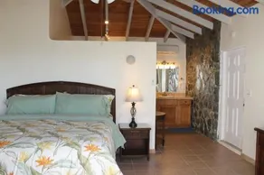 Serene Cruz Bay Villa Sep Mstr Kg Suite Stunning Sunsets - Image 5