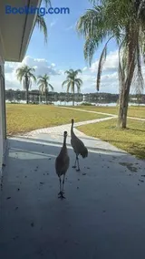 Lakefront Luxury w Private Dock Sunrises - Image 1