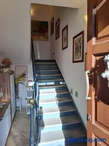 Luminosa Suite - Image 1