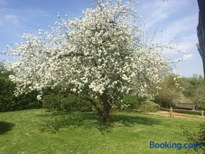 Le Jardin Des Sources - Image 4