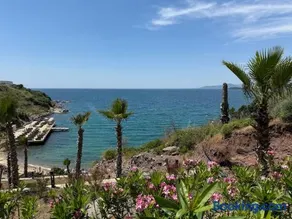 Beachfront Villa with private beach and pool - Image 1