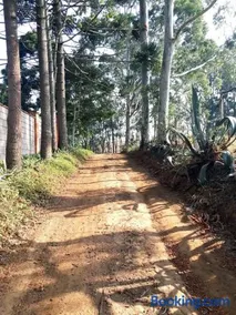 Chacara Redenção - Image 4