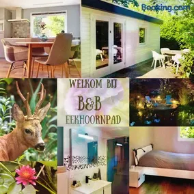 B&B Eekhoornpad - Image 1
