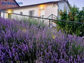 Chicche di Lavanda - Image 5
