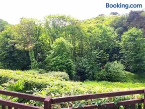 Parada Cottage at Crackington Haven, near Bude and Boscastle, Cornwall - Image 5