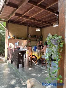 Campo de Heliantos - Image 4