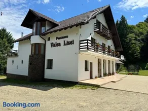 Pensiunea VALEA LISEI - Image 1