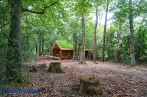 Secluded Hand Crafted Log Cabin - Image 4