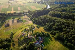 Aurora Silvae - Image 3