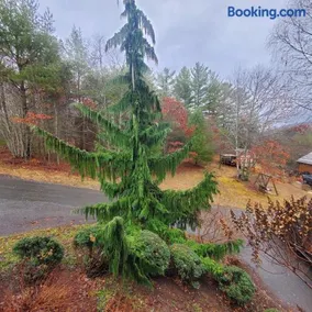 Evergreen Retreat - Image 1