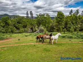 Homestead Ranch near Yosemite with Animals & Fresh Eggs - Image 3