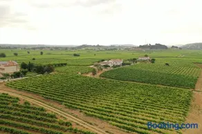 Soul Farm Mas els Igols - Image 5