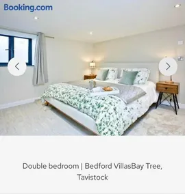 Bay Tree - Image 4