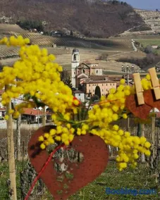 Agriturismo Mondo - Image 3