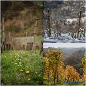 Haloze na dlani - Haloze in your hand, hiša s pogledom na hribe - a house vith a view of hills - Image 2