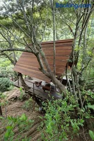 Yambaru Wild Treehouse Kidzy - Image 3