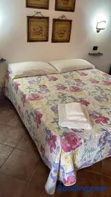 Podere 2061 - Image 2