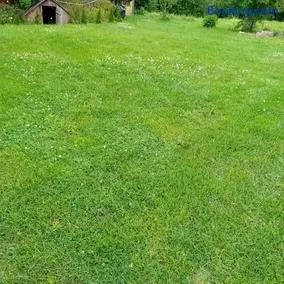 Saarde talu, Rootsi küla, Kihnu saar - Image 3