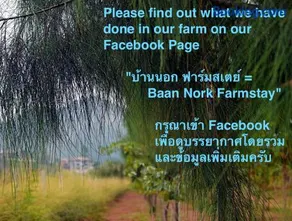 Baan Nork Farmstay บ้านนอก ฟาร์มสเตย์ - Image 2