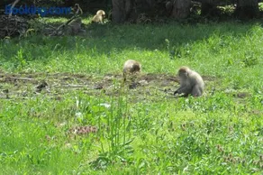Wasai-kan - Image 3