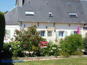 La ciboulette - Image 2