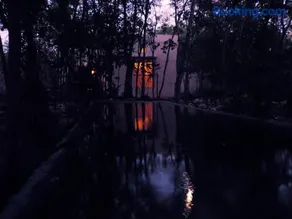 barefoot jungle studios - Image 1