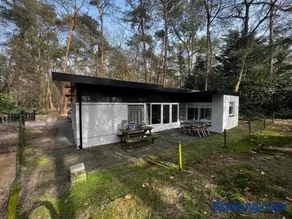 Bonte Specht - Image 4