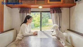 Goseong Jjun Camping Pension - Image 1