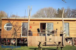 Tinyhouse Zirkuswagen- Kotten Kunterbunt - Image 1