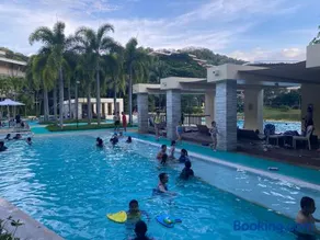 PICO DE LORO CAROLA B - Image 3