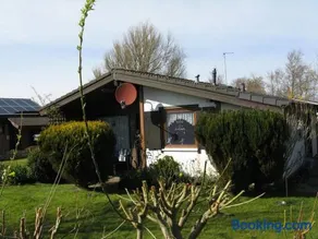 Sonneneck - Image 2