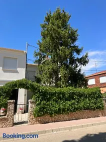 Paz Jardín-Madrigueras - Image 5