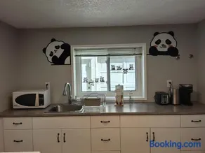 Island Panda Paradise in Victoria - Image 2