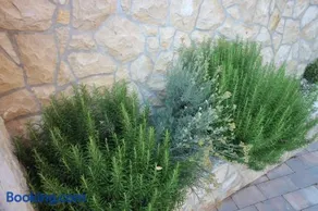 Apartmani Irena - Image 1