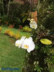 Pousada do Campo - Image 3