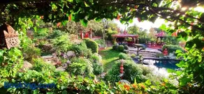 Casa Jardín Oriental - Image 2