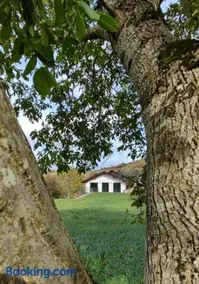 El Refugio del Oso Apartamentos rurales 1 - Image 1