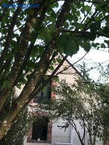 Maison à la Campagne - Image 1