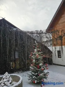 Pensiunea Mateș - Image 2