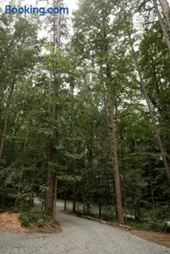Modern Forest Hideaway, HUUM Sauna & Fire Pit - Image 3