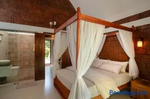Misty Forest Resort Wayanad - Image 5