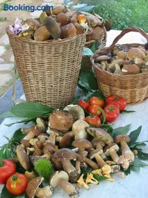Agriturismo Saudon - Image 2