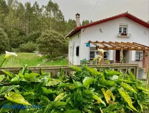 Maria La Franca - Image 2