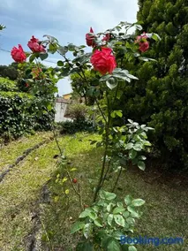 VILLA VISCALORI A garden with pool and see view near Etna - Image 1