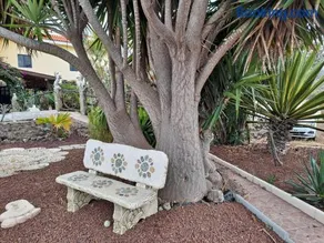 Tenerife apartment 100m2 CASA DE DON QUIJOTE with a terrace of 100m2 with a view of the ocean and Teide volcano and a garden of 600m2 - Image 3