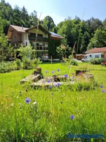 Waldbach-Oase - Image 1