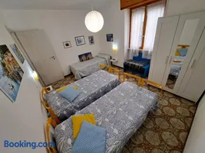 Green House Olivedo - Image 4