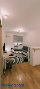 Yasmin Apartment (Pozega in Serbia) - Image 5