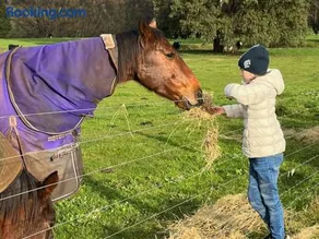 JillyPark Farmstay Experience Discover Authentic Farm Life Complimentary Breakfast Included - Image 3