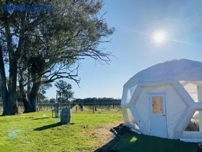 Coonawarra Hampton Bubble 2 - Image 4